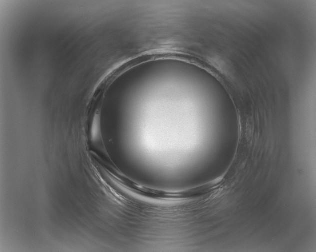 X0000056001356200508221312