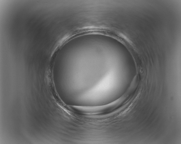 X0000056001357200508221312