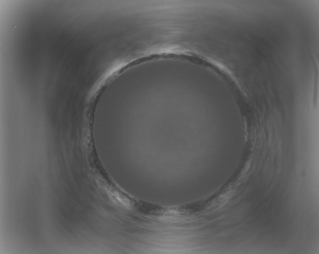 X0000056001359200508221312