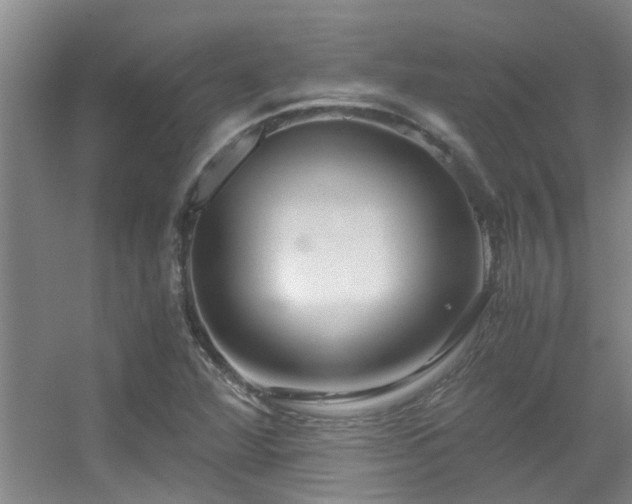 X0000056001360200508221312