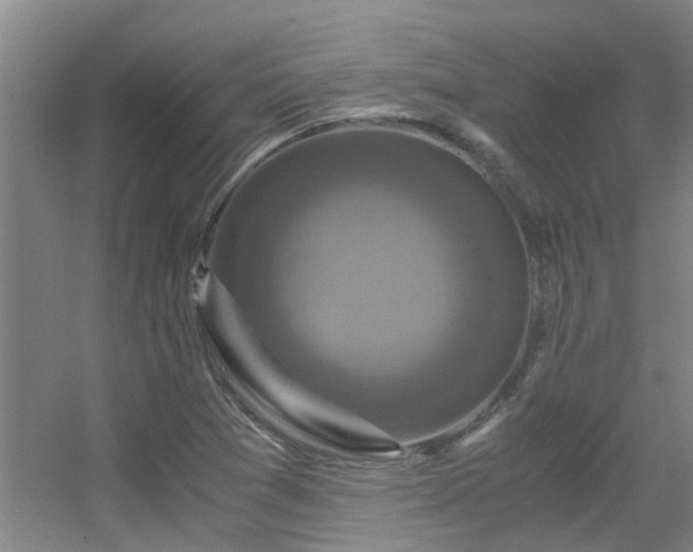 X0000056001361200508221312