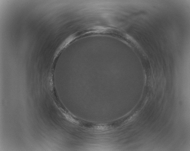 X0000056001362200508221312