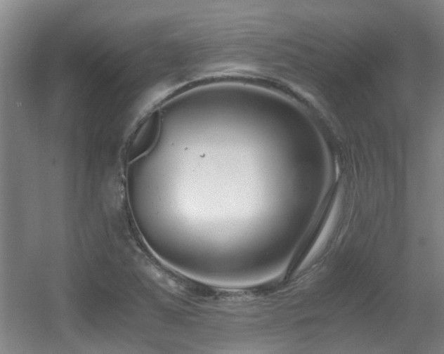 X0000056001363200508221312