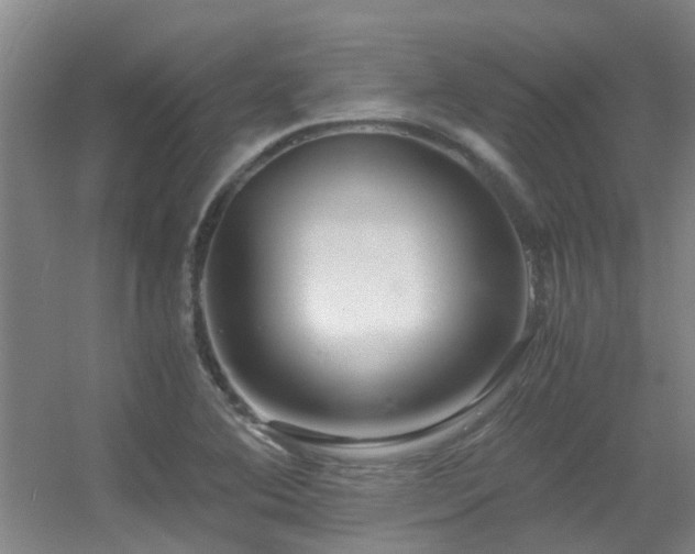 X0000056001364200508221312