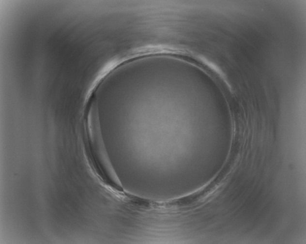 X0000056001365200508221312