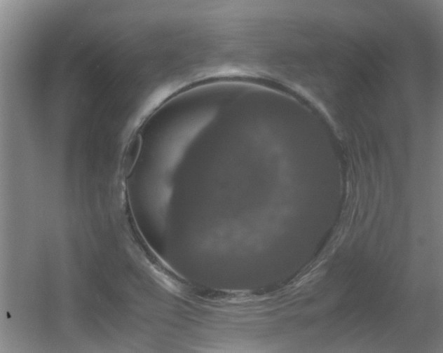 X0000056001367200508221312