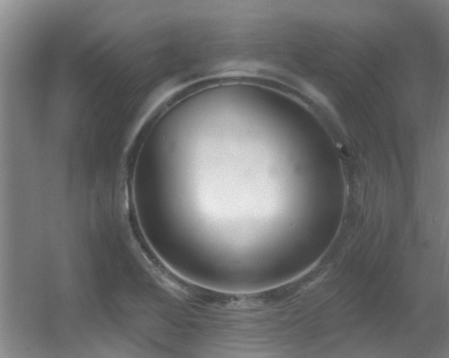 X0000056001368200508221312