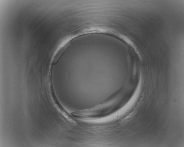 X0000056001373200508221311