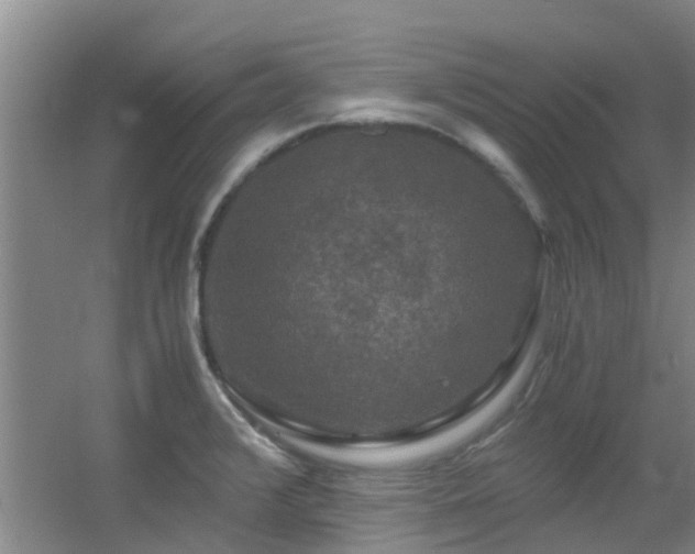 X0000056001376200508221311