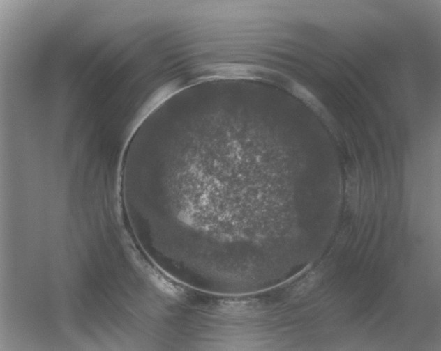 X0000056001378200508221311