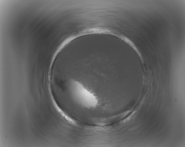 X0000056001381200508221311