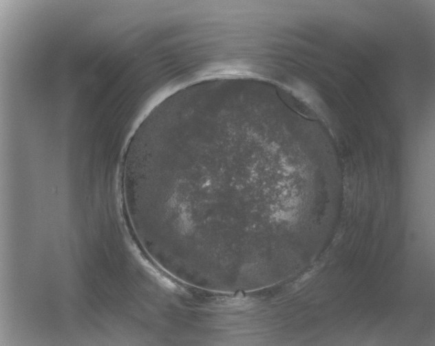 X0000056001382200508221311