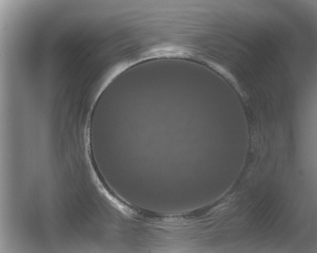 X0000056001383200508221311