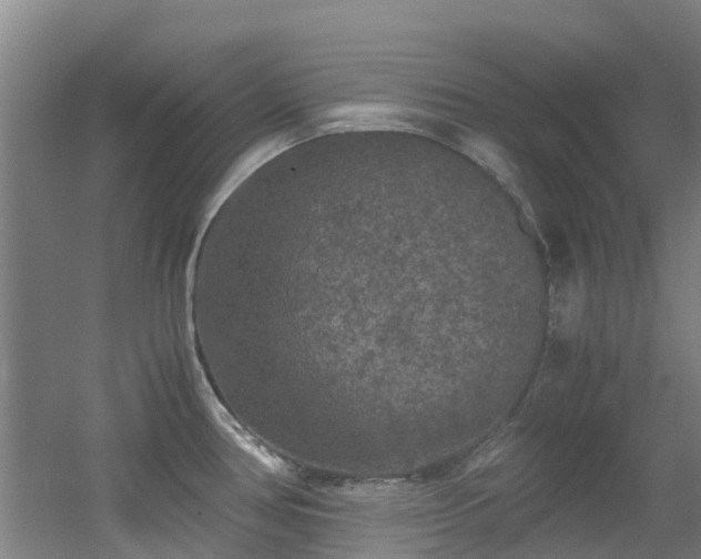 X0000056001386200508221311