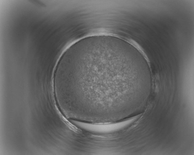 X0000056001388200508221311