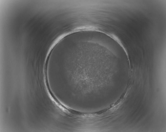 X0000056001389200508221311