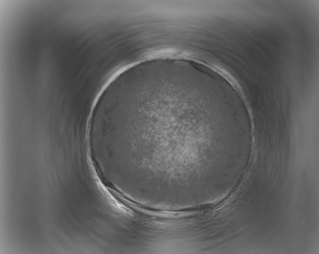 X0000056001392200508221311