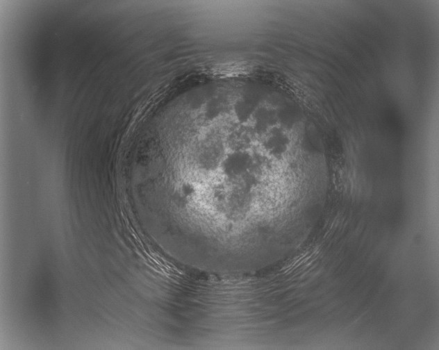 X0000056001393200508221310