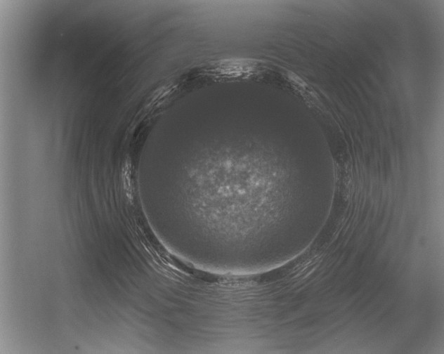 X0000056001394200508221310