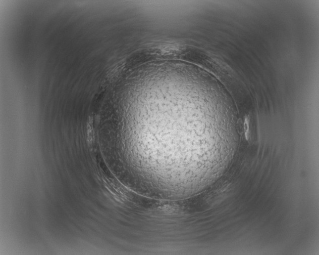 X0000056001395200508221310