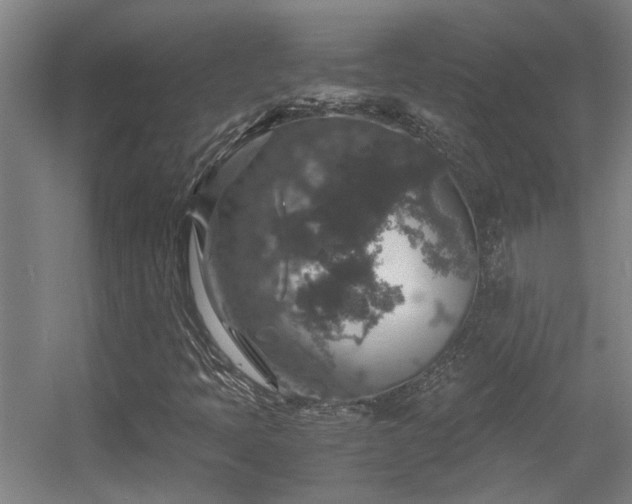 X0000056001397200508221310