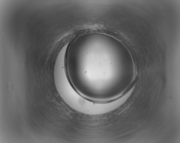 X0000056001398200508221310