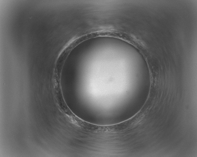 X0000056001400200508221310