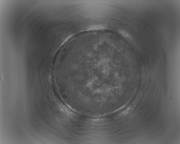 X0000056001401200508221310