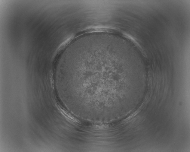 X0000056001403200508221311