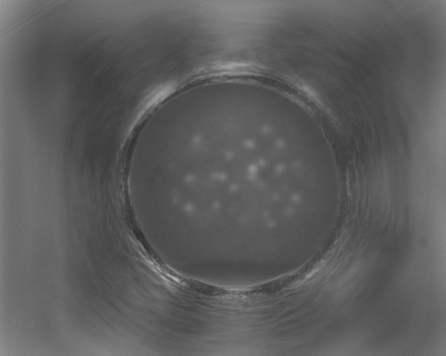 X0000056001405200508221311