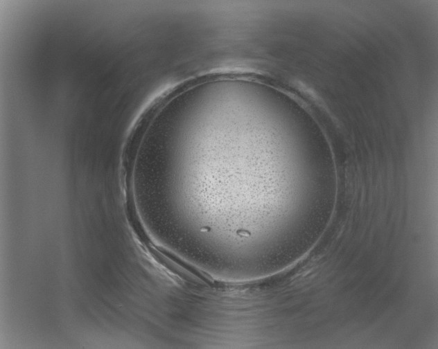 X0000056001408200508221311