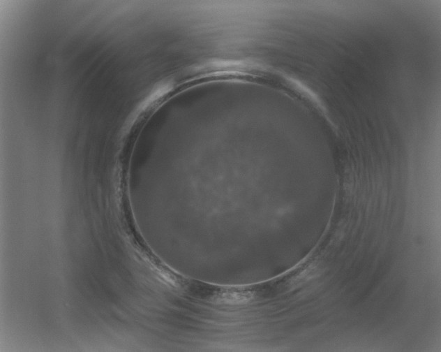 X0000056001411200508221311