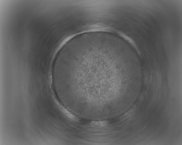 X0000056001415200508221311