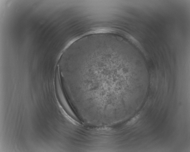 X0000056001417200508221311