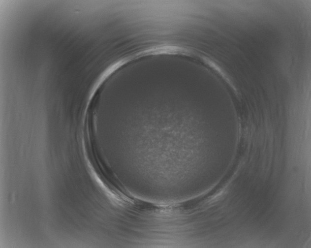 X0000056001418200508221311