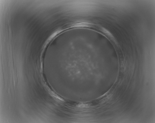 X0000056001419200508221311