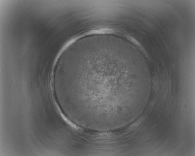 X0000056001421200508221311