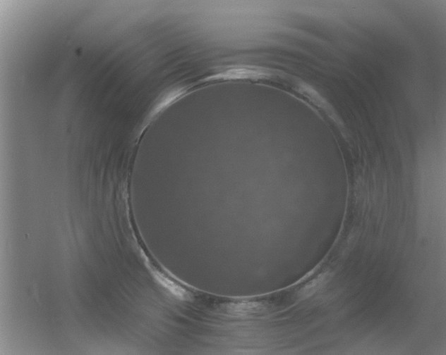 X0000056001425200508221311