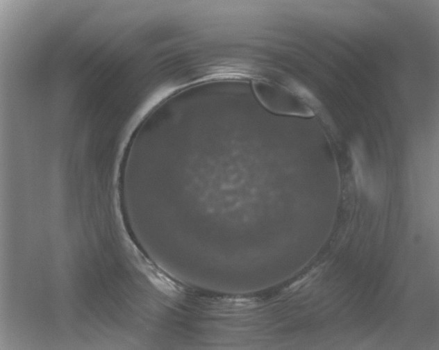 X0000056001427200508221311