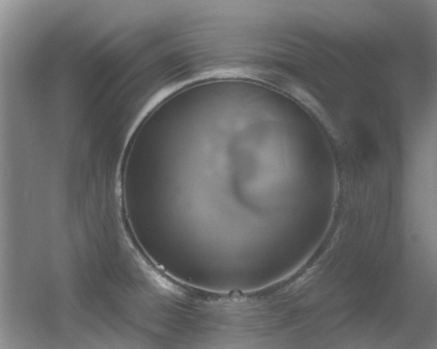 X0000056001428200508221311