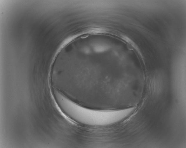 X0000056001429200508221311