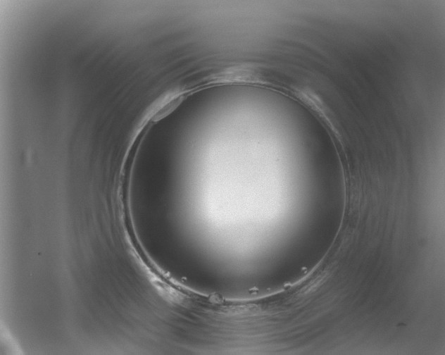 X0000056001434200508221311