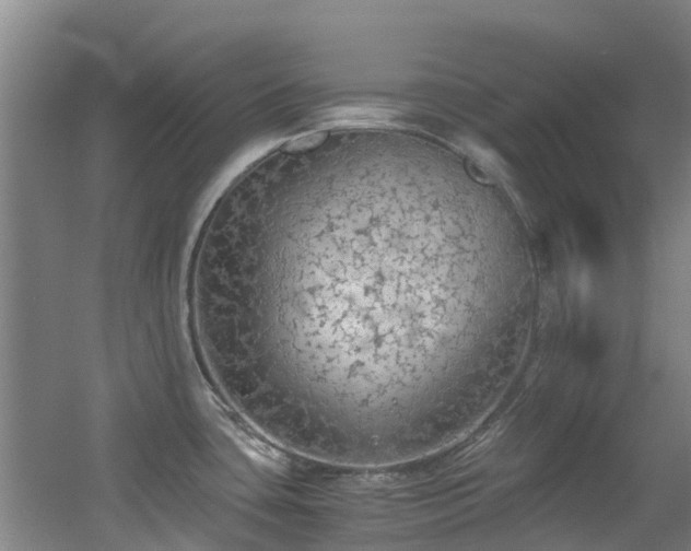 X0000056001435200508221311