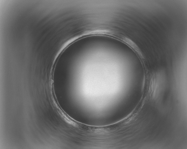 X0000056001436200508221311