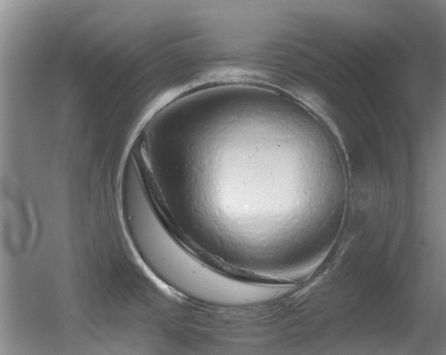 X0000056001437200508221311