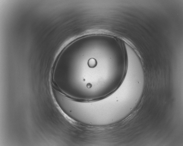 X0000056001438200508221311