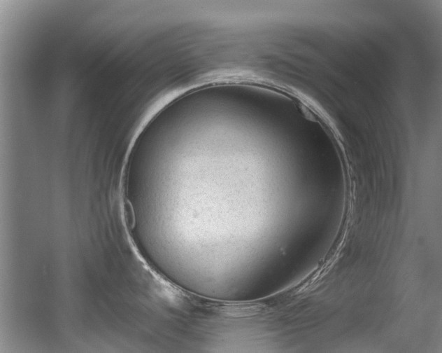 X0000056001440200508221311