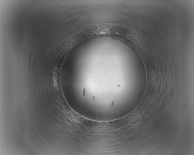 X0000056001442200508221310