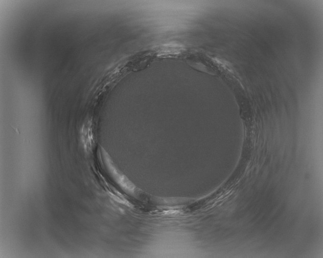 X0000056001445200508221310