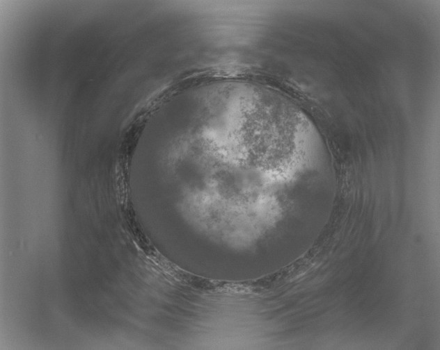 X0000056001446200508221310